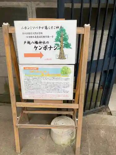 戸越八幡神社(東京都)