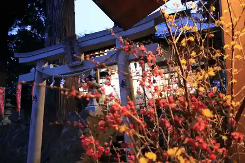 高司神社〜むすびの神の鎮まる社〜の鳥居