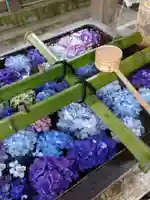 唐澤山神社の手水舎