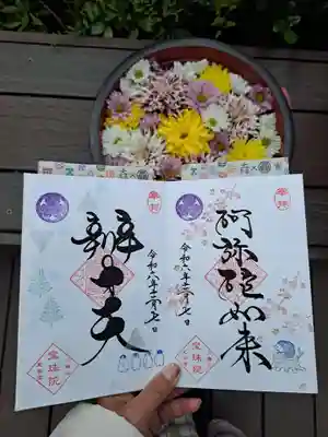 11月のハリネズミと今月のペンギン