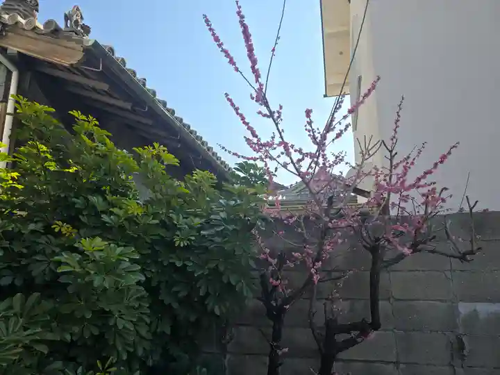 十輪院(大阪府)