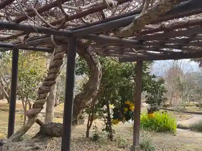 法華寺(奈良県)