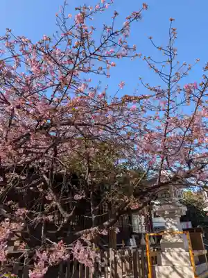 新宿下落合氷川神社(東京都)