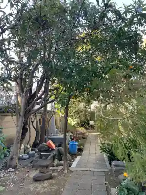 長元寺の{uncategorized: "未分類", other: "その他", undefined: "問題あり", building: "その他建物", grave: "お墓", sacred_gate: "鳥居", guardian: "狛犬", statue: "像", buddha: "仏像", history: "歴史", nature: "自然", garden: "庭園", animal: "動物", pagoda: "塔", temizu: "手水舎", mountain_gate: "山門・神門", sanctuary: "本殿・本堂", subordinate: "末社・摂社", art: "芸術", scenery: "景色", jizo: "地蔵", ema: "絵馬", goshuin: "御朱印", omikuji: "おみくじ", items: "授与品その他", amulet: "お守り", goshuincho: "御朱印帳", eats: "食事", festival: "お祭り", votive_dance: "神楽", shichigosan: "七五三参", wedding: "結婚式", experience: "体験その他", initially: "初詣", around: "周辺", anti_infection: "感染症対策"}