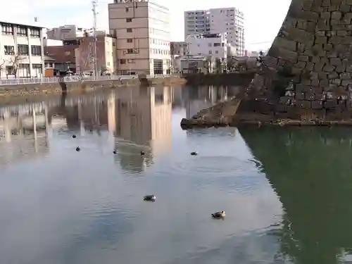 福井神社(福井県)