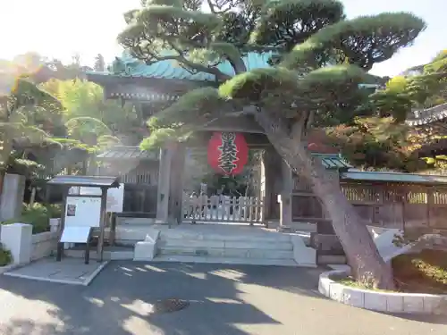 長谷寺の山門・神門