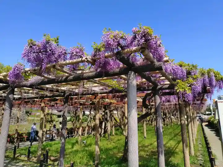 報徳二宮神社の{uncategorized: "未分類", other: "その他", undefined: "問題あり", building: "その他建物", grave: "お墓", sacred_gate: "鳥居", guardian: "狛犬", statue: "像", buddha: "仏像", history: "歴史", nature: "自然", garden: "庭園", animal: "動物", pagoda: "塔", temizu: "手水舎", mountain_gate: "山門・神門", sanctuary: "本殿・本堂", subordinate: "末社・摂社", art: "芸術", scenery: "景色", jizo: "地蔵", ema: "絵馬", goshuin: "御朱印", omikuji: "おみくじ", items: "授与品その他", amulet: "お守り", goshuincho: "御朱印帳", eats: "食事", festival: "お祭り", votive_dance: "神楽", shichigosan: "七五三参", wedding: "結婚式", experience: "体験その他", initially: "初詣", around: "周辺", anti_infection: "感染症対策"}