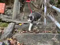 香取伊豆乃御子神社(宮城県)