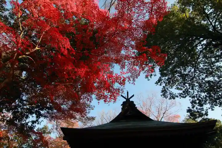 國祖神社の景色