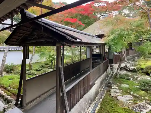 金剛寺(大阪府)
