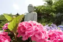 南法華寺（壷阪寺）(奈良県)