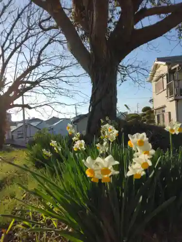 住吉神社(兵庫県)