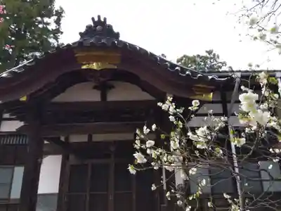 来迎寺(新潟県)
