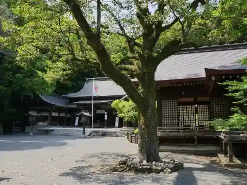 高見神社の建物その他