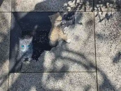 櫻木神社(千葉県)