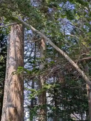 豊受稲荷神社（湯倉神社）の{uncategorized: "未分類", other: "その他", undefined: "問題あり", building: "その他建物", grave: "お墓", sacred_gate: "鳥居", guardian: "狛犬", statue: "像", buddha: "仏像", history: "歴史", nature: "自然", garden: "庭園", animal: "動物", pagoda: "塔", temizu: "手水舎", mountain_gate: "山門・神門", sanctuary: "本殿・本堂", subordinate: "末社・摂社", art: "芸術", scenery: "景色", jizo: "地蔵", ema: "絵馬", goshuin: "御朱印", omikuji: "おみくじ", items: "授与品その他", amulet: "お守り", goshuincho: "御朱印帳", eats: "食事", festival: "お祭り", votive_dance: "神楽", shichigosan: "七五三参", wedding: "結婚式", experience: "体験その他", initially: "初詣", around: "周辺", anti_infection: "感染症対策"}