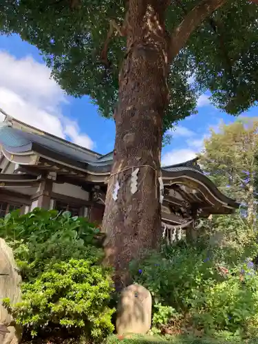 若宮神社の自然