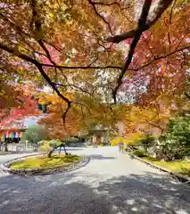 二尊院(京都府)