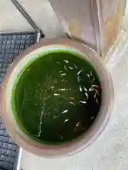 大野神社の動物