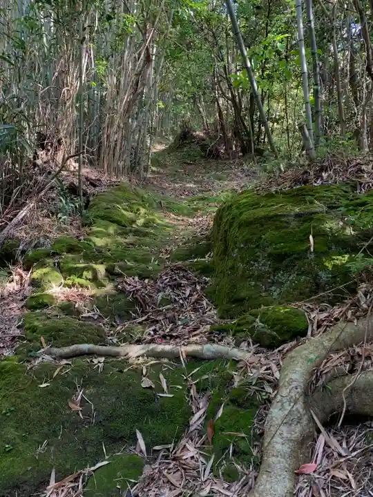 浅間神社の周辺