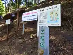 焼森山雷神神社の自然