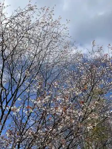 周防國総社宮 佐波神社の御朱印