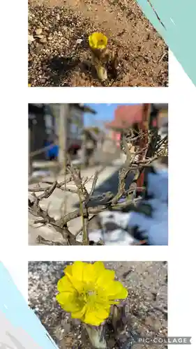 大鏑神社の自然