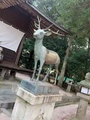 春日神社の狛犬