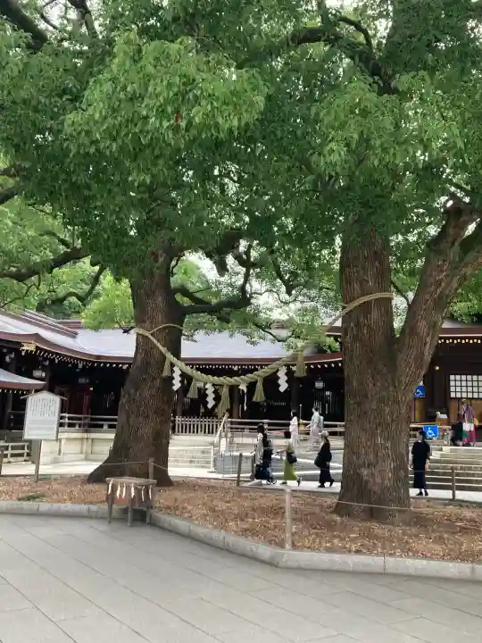 明治神宮(東京都)