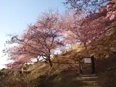 楽法寺（雨引観音）の自然