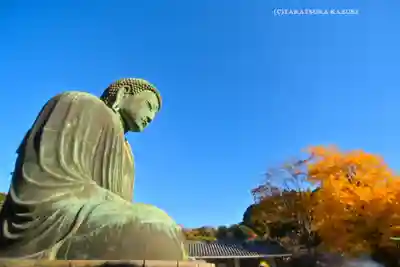 高徳院(神奈川県)