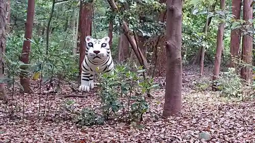 明治神宮の狛犬