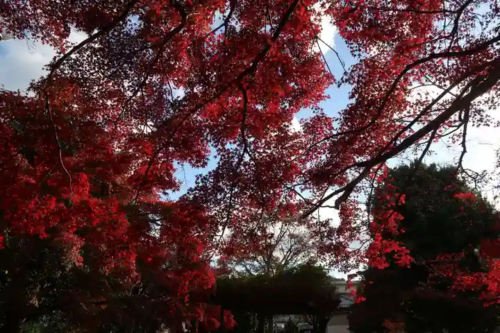 石座神社(京都府)