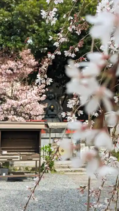 大報恩寺(千本釈迦堂)(京都府)