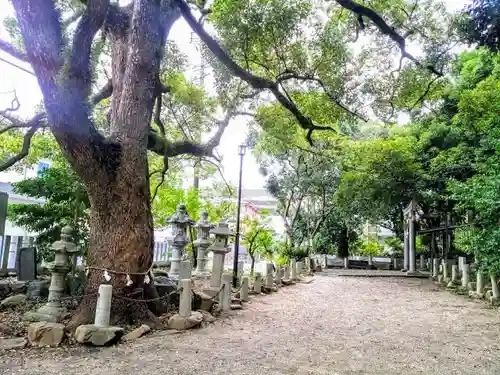 有松天満社の庭園