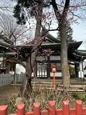 川越八幡宮(埼玉県)
