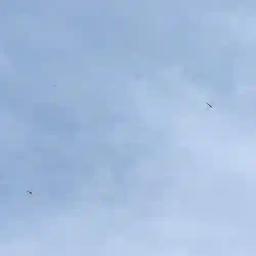 伊勢の国 四天王寺(三重県)