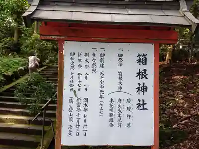 箱根神社の歴史