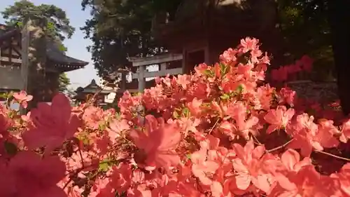 下野國一社八幡宮(栃木県)