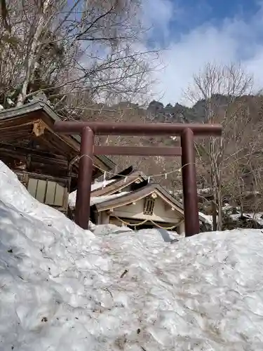 戸隠神社奥社の鳥居