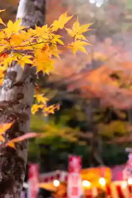大矢田神社(岐阜県)
