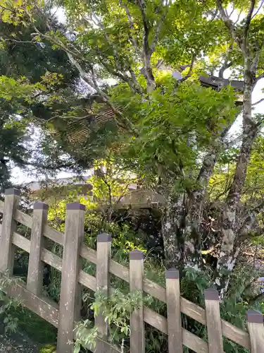 筑波山神社 男体山御本殿(茨城県)