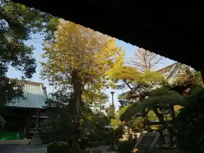 西澄寺の本殿・本堂
