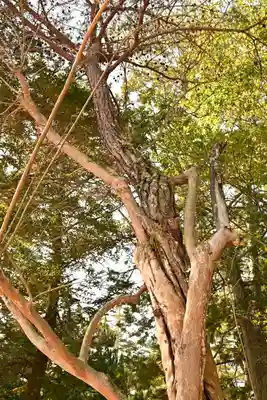 瑠璃光寺(山口県)