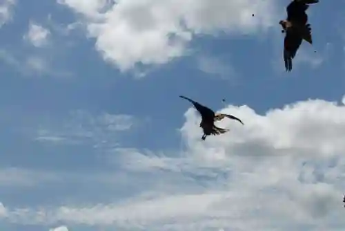 嚴島神社(山口県)