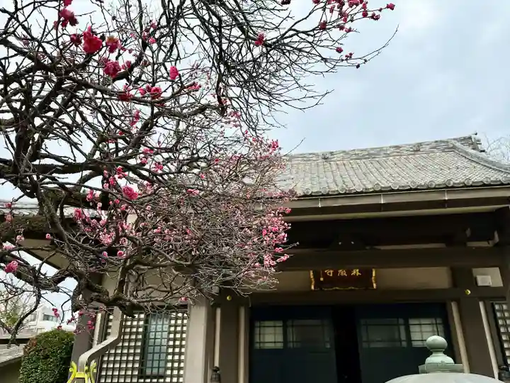 森巌寺(東京都)