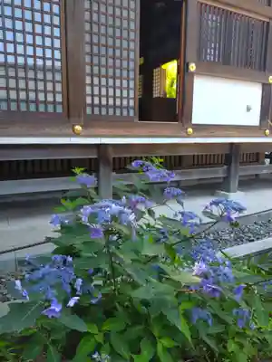 高幡不動尊　金剛寺(東京都)