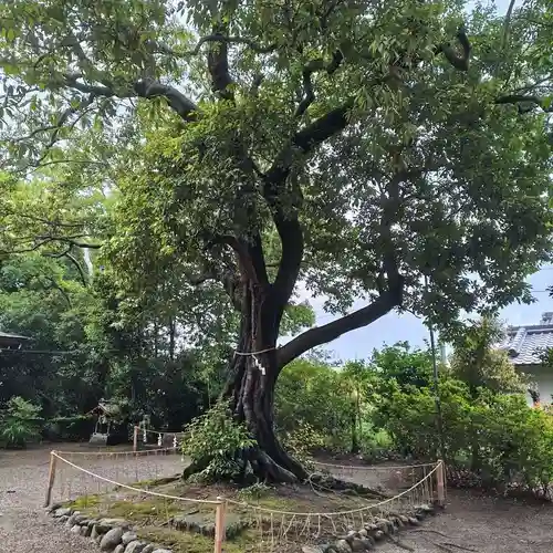 賣太神社(奈良県)