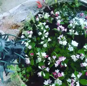 立志神社の手水舎(2021年05月29日(土) 12時58分44秒投稿)