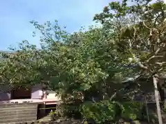 極楽寺（霊鷲山感應院極楽律寺）(神奈川県)